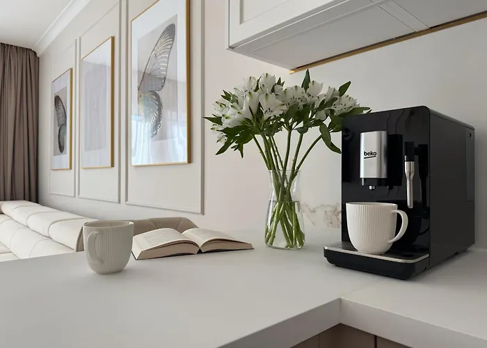 Magdy Stachuli Apartment