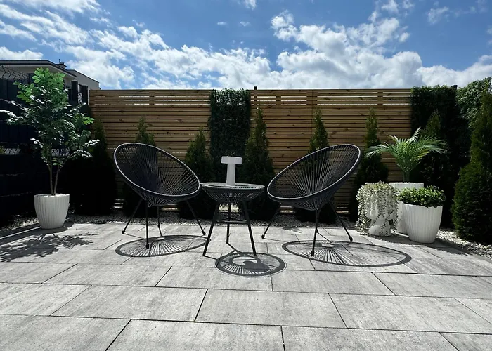 Magdy Stachuli * Jelenia Gora